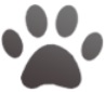 paw print icon